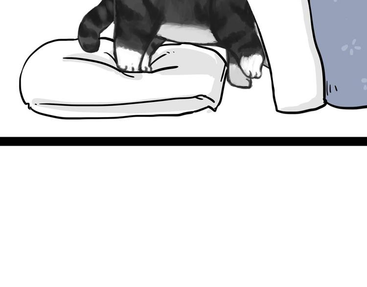 吾皇巴扎黑漫画,第44话 日常坑狗，却猫前屈膝2图