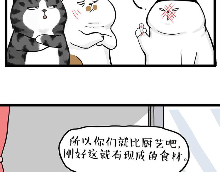 吾皇巴扎黑漫画,第277话 猫斗猫1图