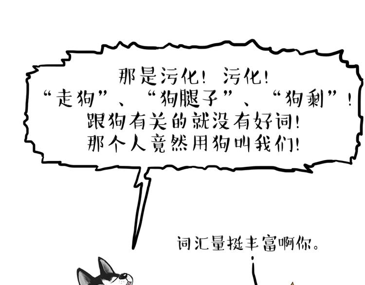 吾皇巴扎黑漫画,第153话 我最狗2图