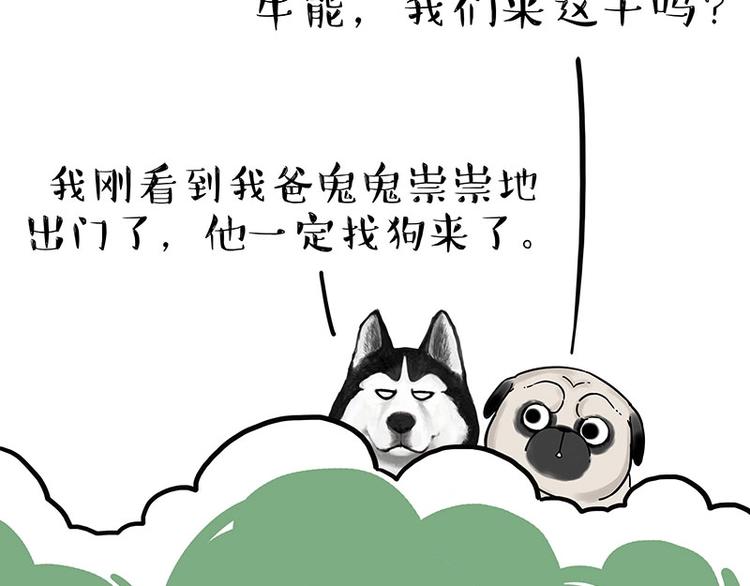 吾皇巴扎黑漫画,第184话 牛能的烦恼1图