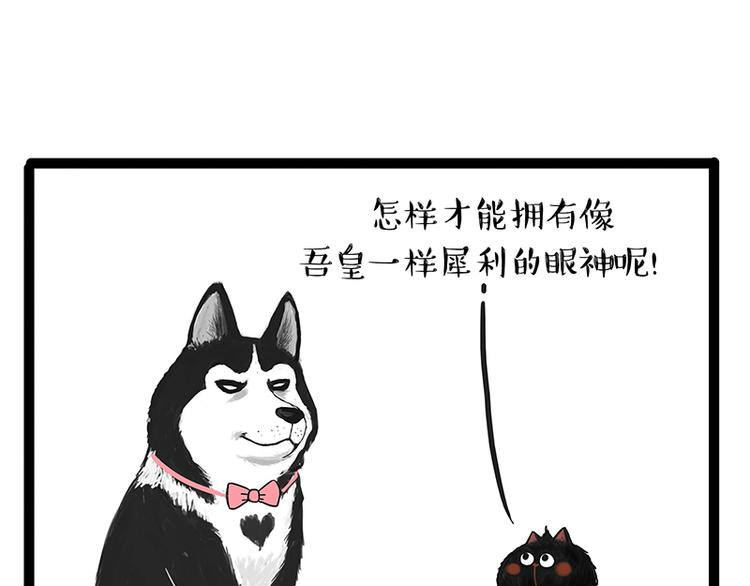 吾皇巴扎黑高清壁纸漫画,第142话 骗人的大人最讨厌了1图