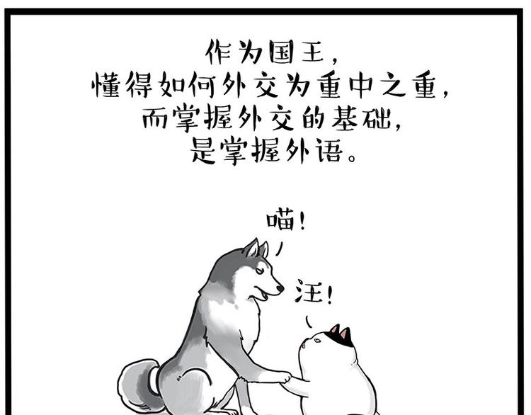 吾皇巴扎黑漫画,第277话 猫斗猫2图
