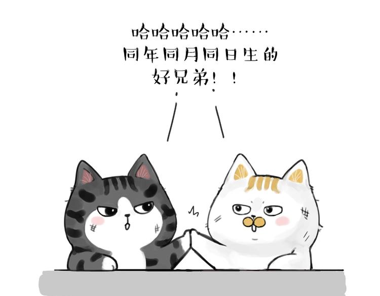 吾皇巴扎黑图片漫画,第185话 好兄弟！1图