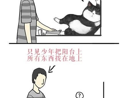 吾皇巴扎黑人物介绍漫画,第18话 思考喵生的猫1图
