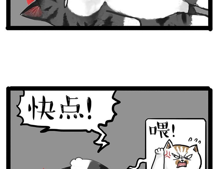 吾皇巴扎黑漫画,第151话 一声兄弟，一生兄弟1图