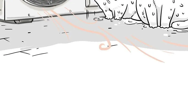 吾皇巴扎黑漫画,第391话 太热了！1图