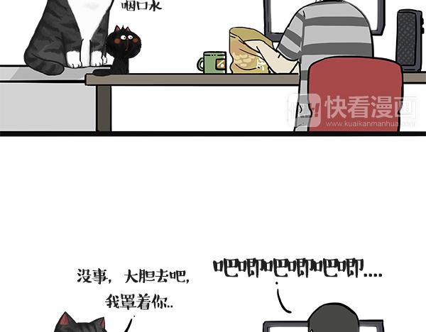 吾皇巴扎黑漫画,第49话 只见新人笑未闻旧人哭1图