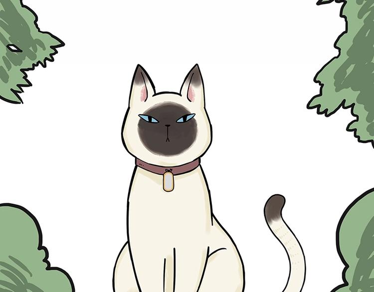 吾皇巴扎黑漫画,第171话 不许你走！1图