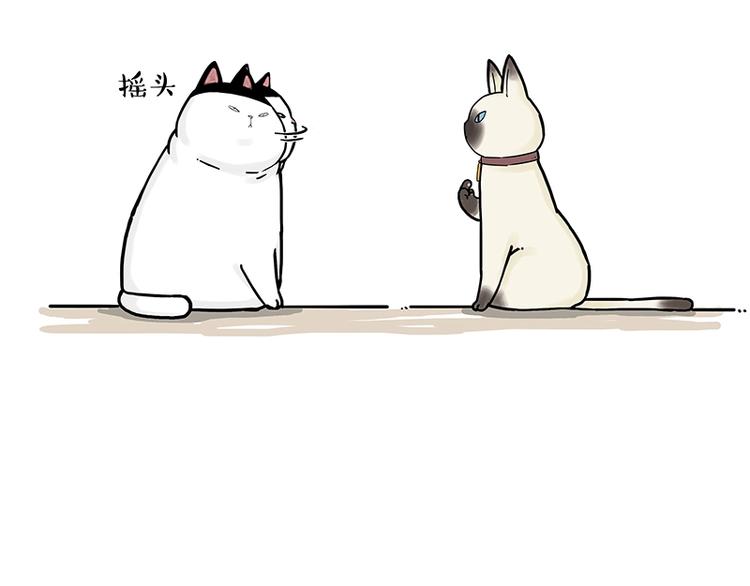 吾皇巴扎黑漫画,第171话 不许你走！1图
