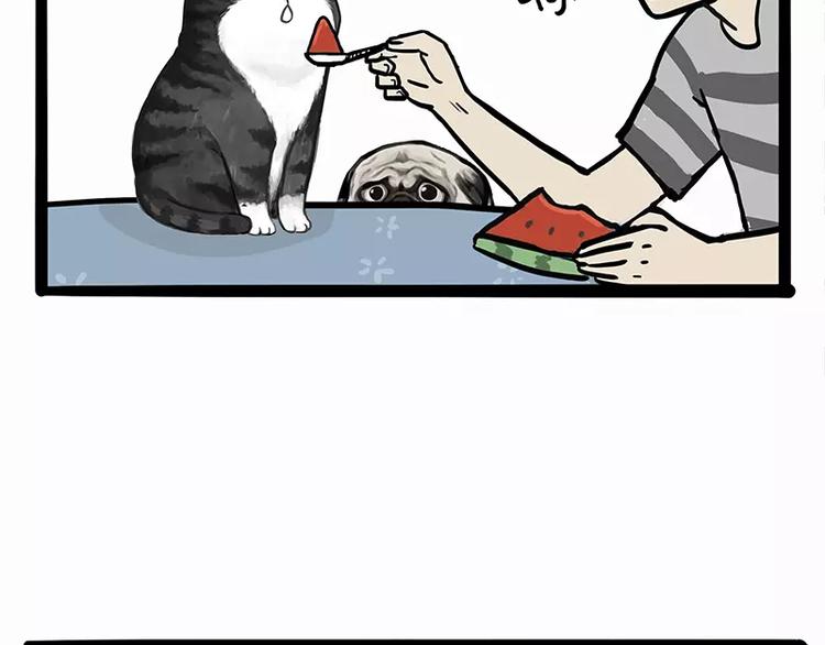 吾皇巴扎黑漫画,第102话 吃瓜的方法1图