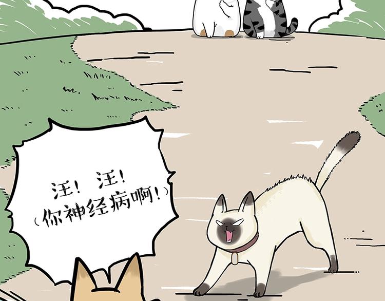 吾皇巴扎黑漫画,第171话 不许你走！2图