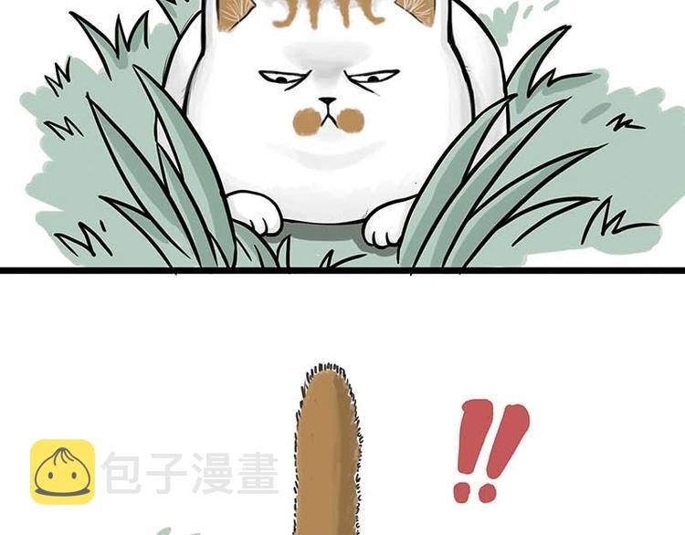 吾皇巴扎黑漫画全集漫画,第159话 傲霸日常（二）2图