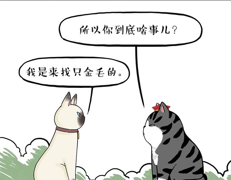 吾皇巴扎黑漫画,第171话 不许你走！1图