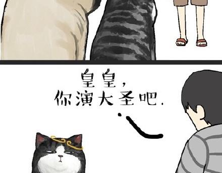 吾皇巴扎黑漫画,第22话 全民CP时代！1图
