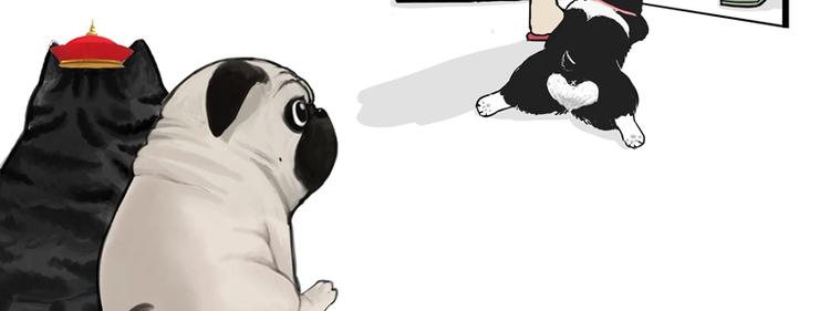 吾皇巴扎黑漫画,第153话 我最狗2图
