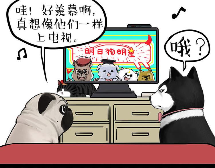 吾皇巴扎黑漫画,第230话 巴扎黑进娱乐圈？1图