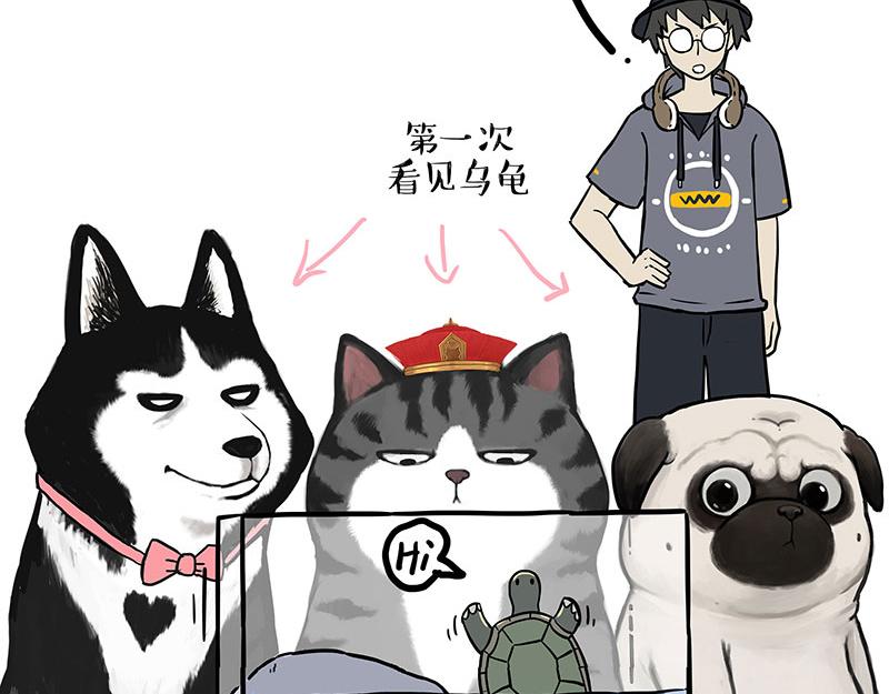 吾皇巴扎黑漫画全集漫画,第299话 真假虚实1图