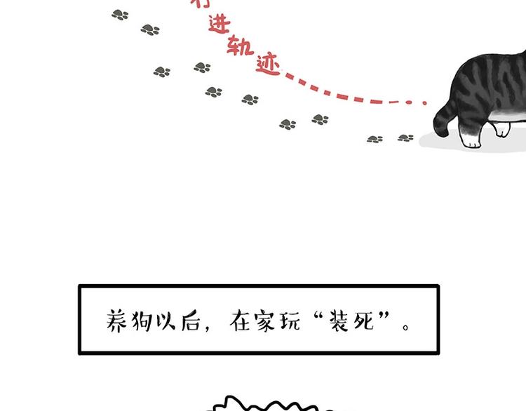 吾皇巴扎黑牛能漫画,第154话 要给自己打个气！1图