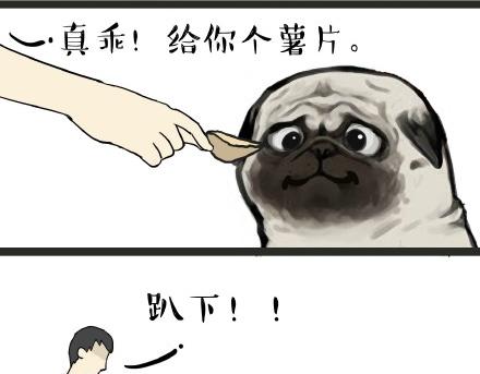 吾皇巴扎黑漫画,第21话 巴扎黑不是我亲生的！2图