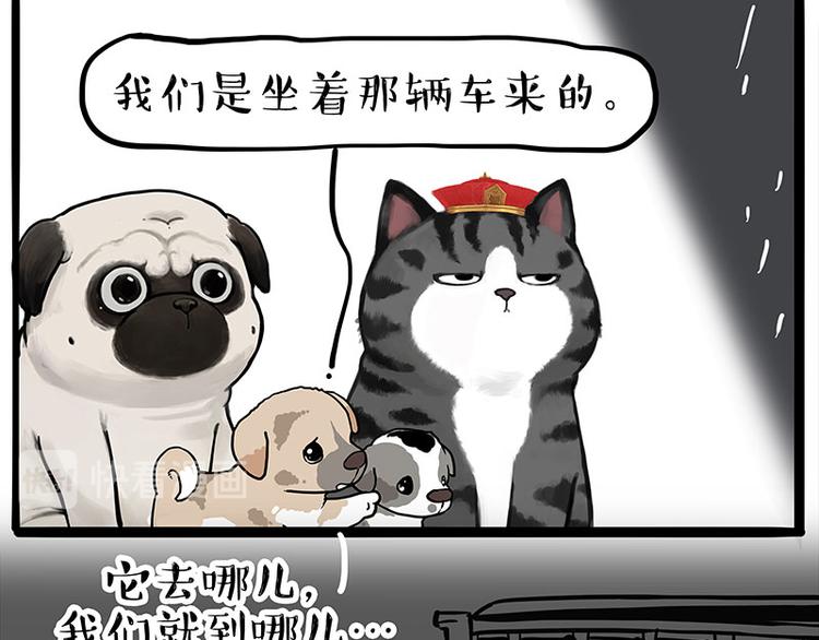 吾皇巴扎黑漫画,第267话 不让你流浪1图
