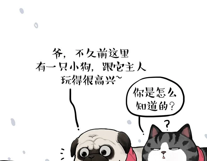 吾皇巴扎黑漫画,第362话 去找狗！1图