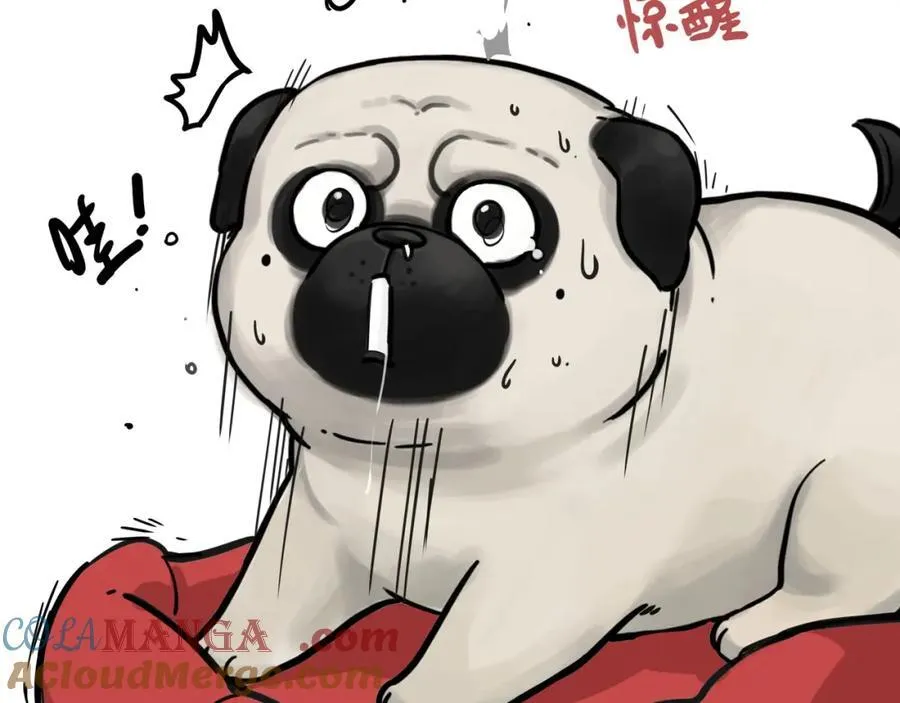 吾皇巴扎黑漫画,第411话 有人欢喜有人忧1图
