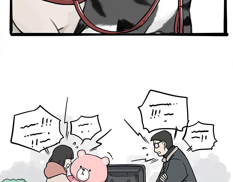吾皇巴扎黑图片漫画,第355话 一起回家2图