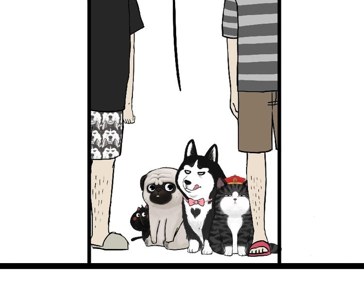 吾皇巴扎黑超话漫画,第163话 记得回家看看2图