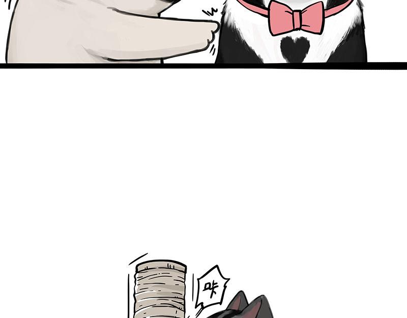 吾皇巴扎黑漫画,第356话 “吾没有错”1图