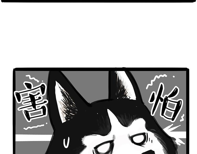 吾皇巴扎黑漫画,第231话 防骗指南2图