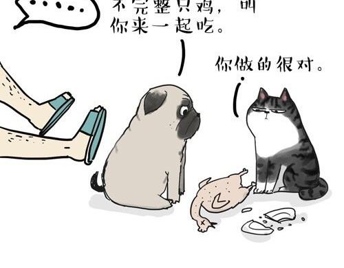 吾皇巴扎黑漫画,第20话 蜜汁少年！2图