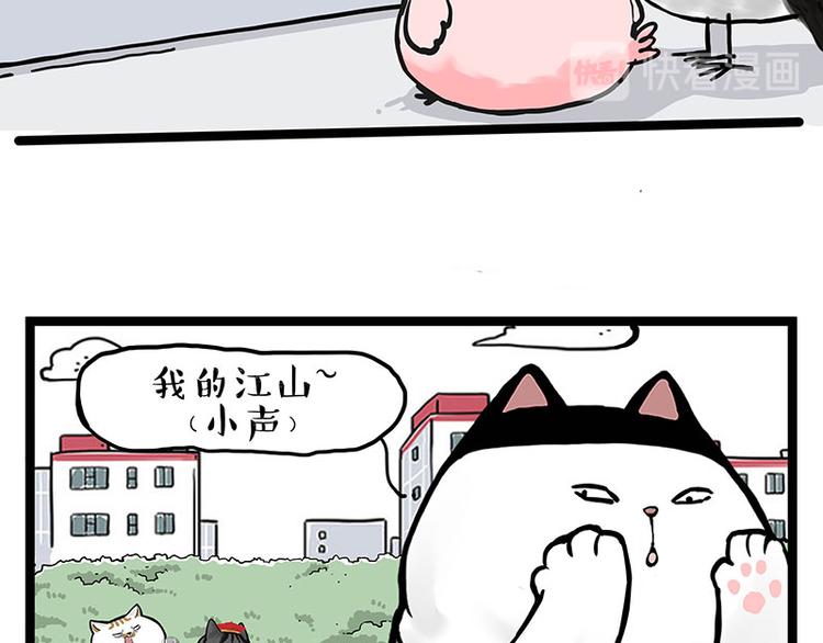 吾皇巴扎黑漫画,第277话 猫斗猫2图