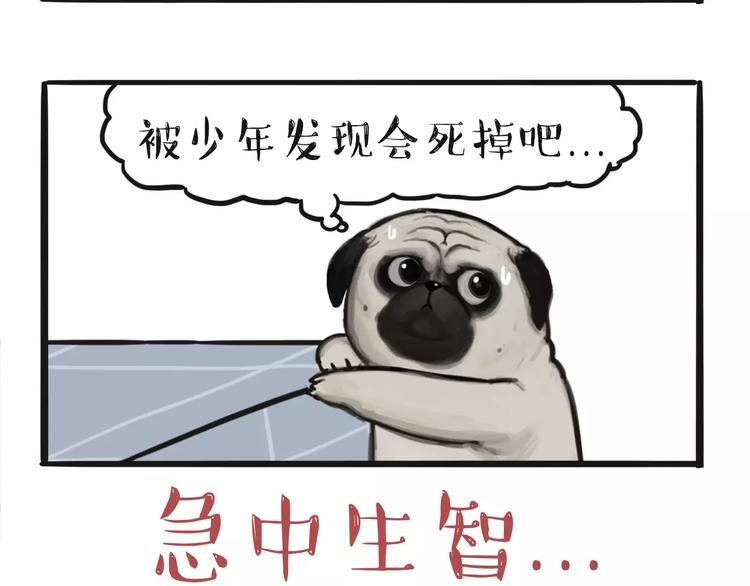 吾皇巴扎黑漫画,第97话 功夫2图