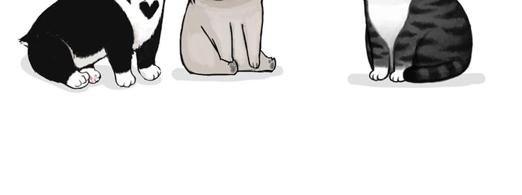 吾皇巴扎黑漫画,第153话 我最狗1图