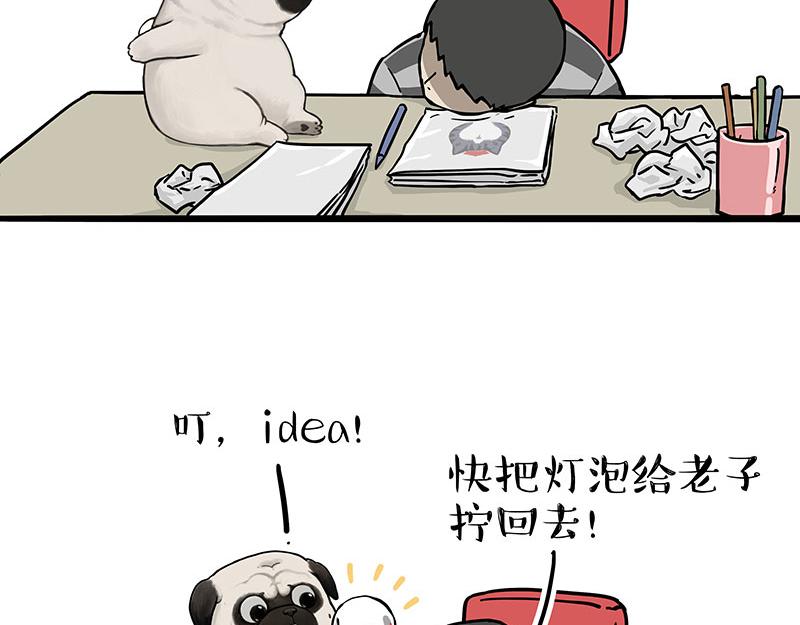 吾皇巴扎黑漫画,第309话 不妙小喵招1图