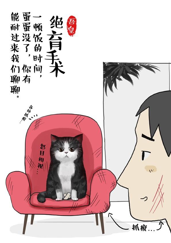 吾皇巴扎黑漫画,第2话 傲娇是猫的原则2图