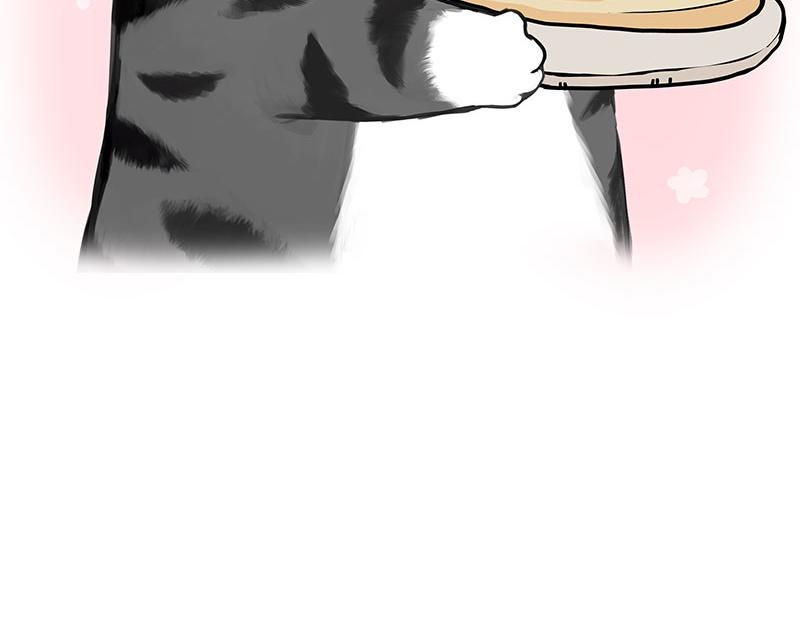 吾皇巴扎黑漫画,第367话 都不是事儿2图