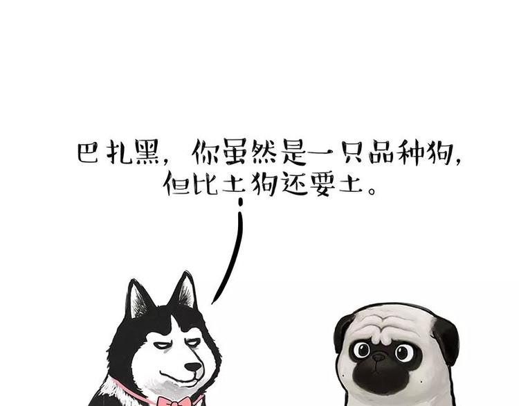 吾皇巴扎黑漫画,第227话 丑狗宿命1图