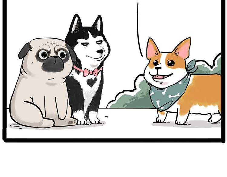 吾皇巴扎黑漫画,第194话 生活不易，猫狗打工2图