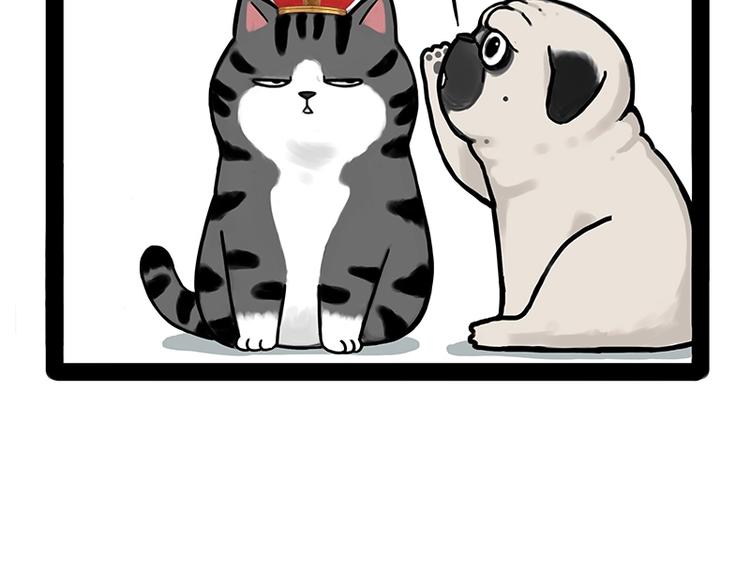 吾皇巴扎黑漫画,第171话 不许你走！1图