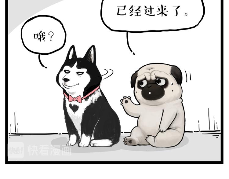 吾皇巴扎黑漫画,第273话 虾仁猪心1图