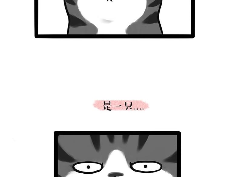 吾皇巴扎黑漫画,第188话 收破烂也不收你礼物2图