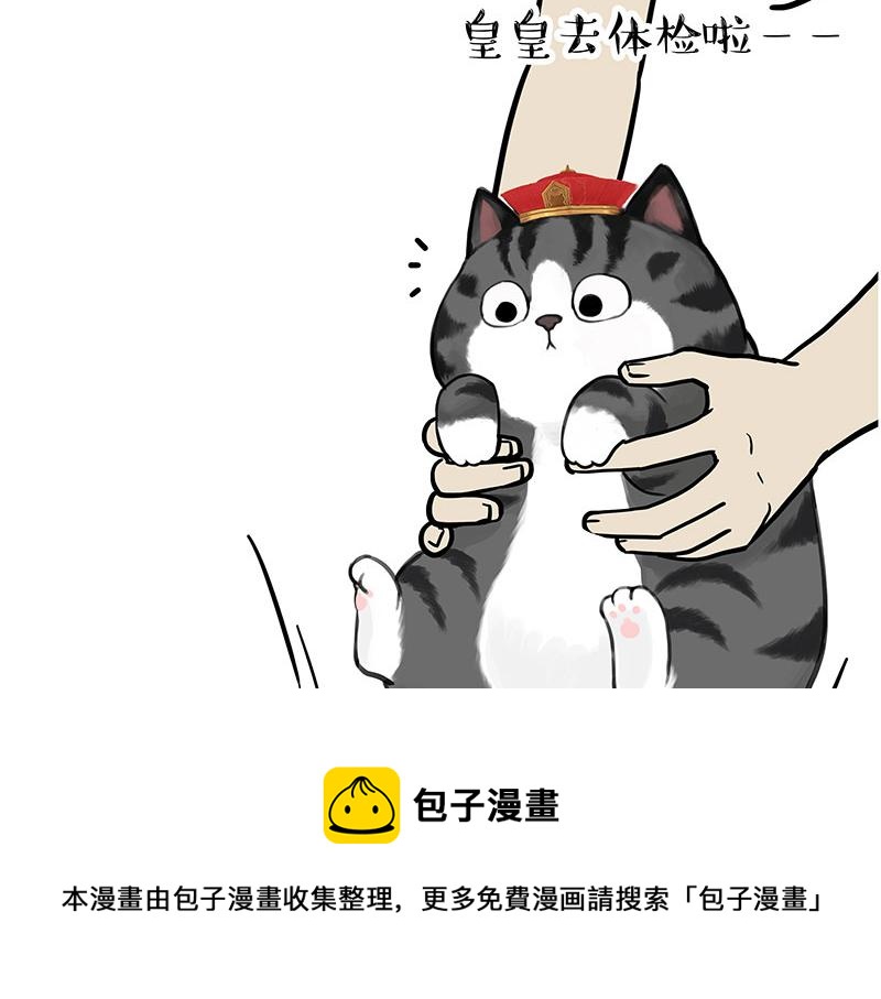 吾皇巴扎黑漫画,第315话 吾皇也有烦恼1图