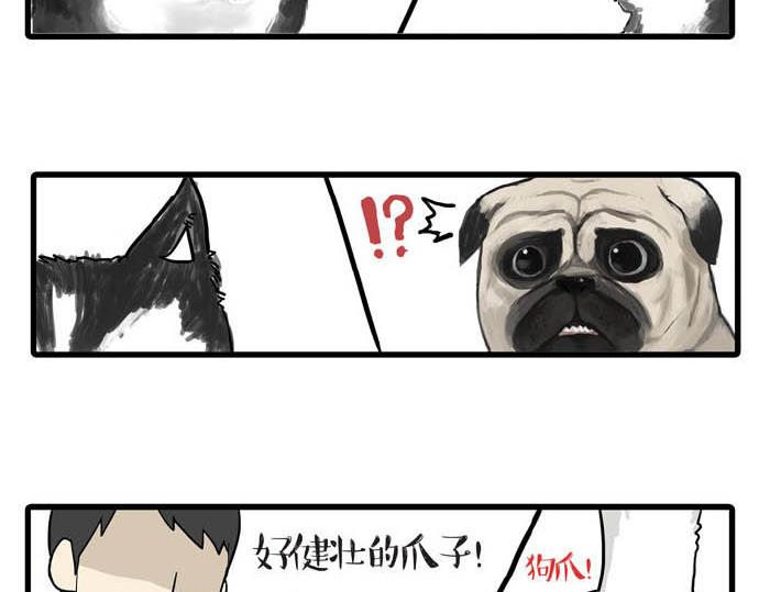 吾皇巴扎黑漫画,第31话 来自喵星人的快感1图