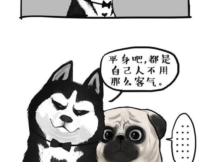 吾皇巴扎黑漫画,第31话 来自喵星人的快感2图