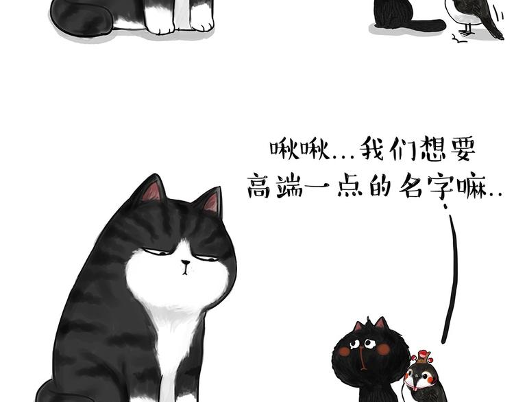 吾皇巴扎黑漫画,第53话 宠物的压力1图