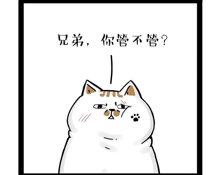吾皇巴扎黑漫画,第171话 不许你走！2图