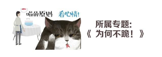 吾皇巴扎黑漫画,第5话 让我吃胖一定是人类陷阱1图