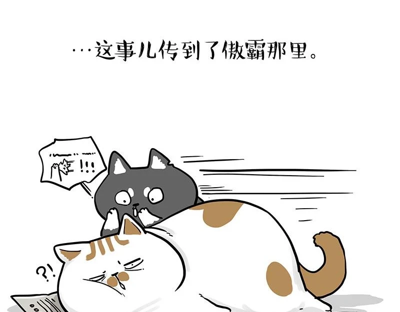 吾皇巴扎黑漫画,第365话 “神犬”巴扎黑1图