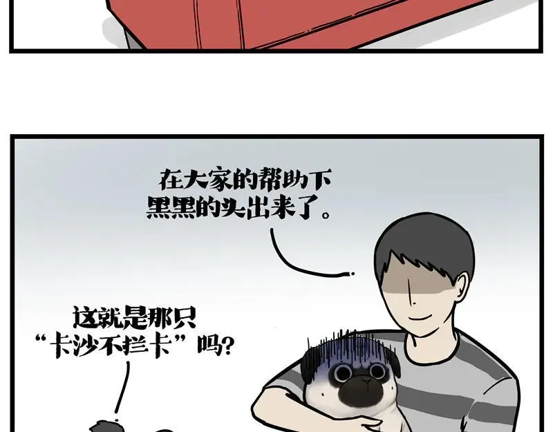 吾皇巴扎黑漫画,第423话 卡沙不拦卡2图